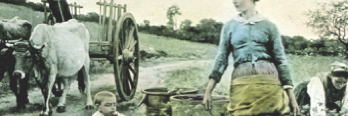 Une histoire de la vigne et du vin en Mayenne - L'oribus n°103 / décembre 2018