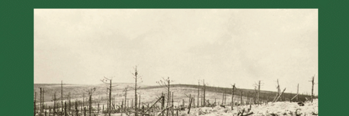 couverture du hors-série 1917