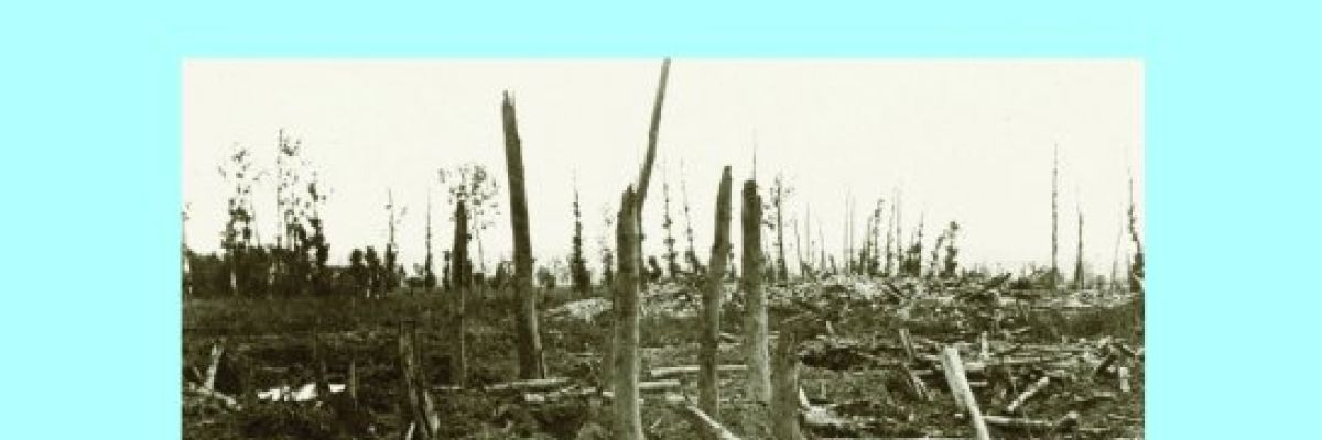 couverture du Hors-Série "1916, les régiments.."